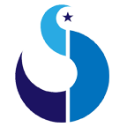 Celestial Architects